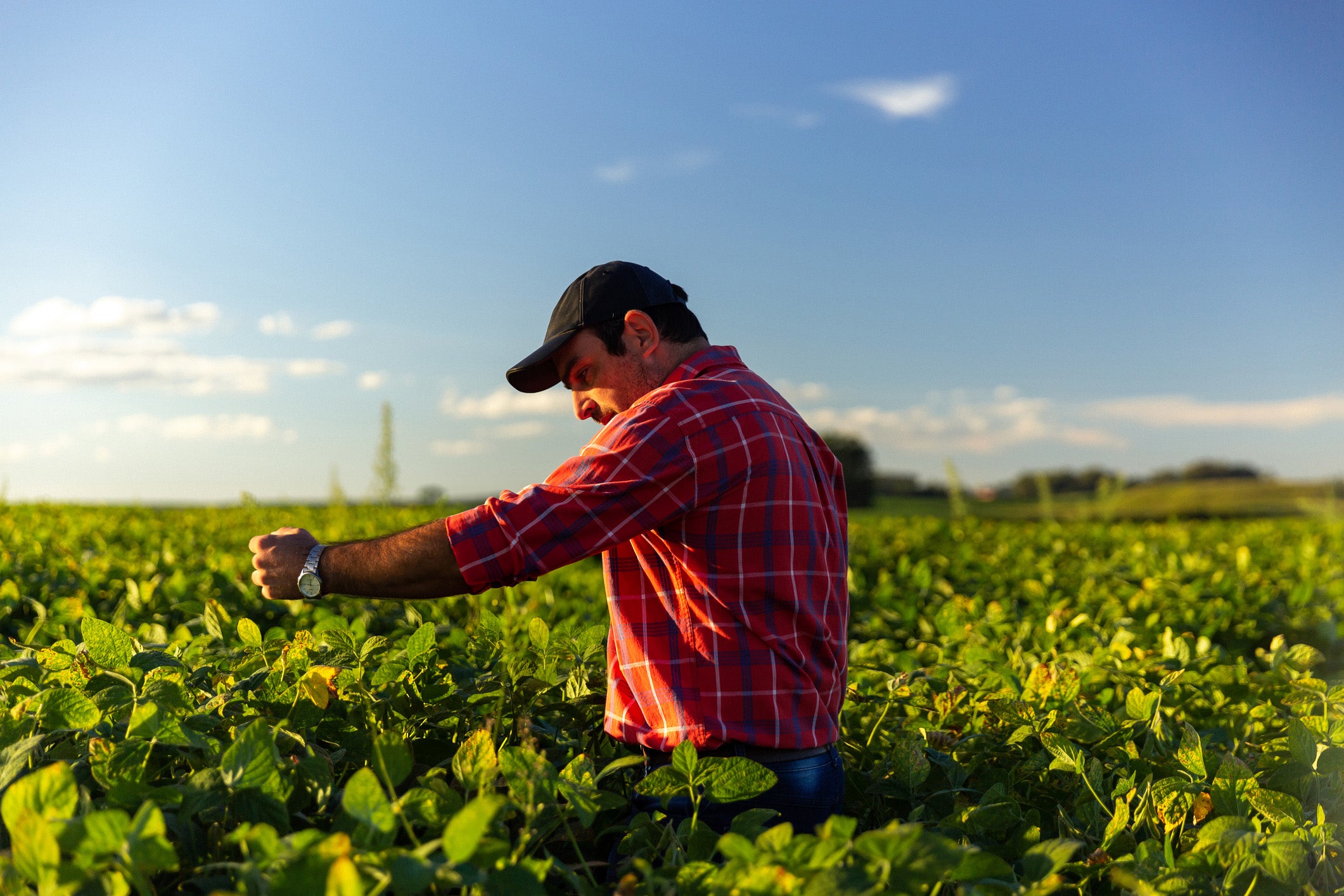 Planting change for a better tomorrow